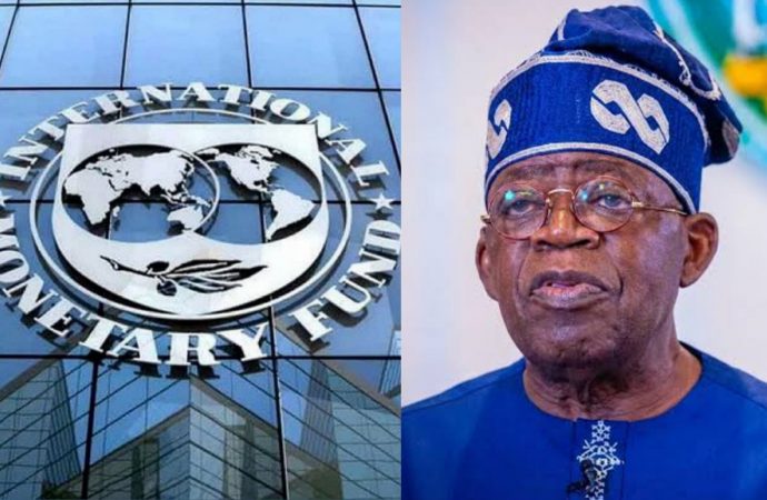 IMF Says Nigeria’s Economic Reforms Are Showing Results but Hardship Remains