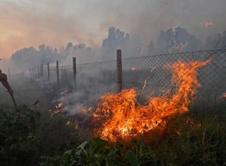 Algeria Wildfires: Death Toll Rises to 12 as More Than 150 Fires Sweep Northeast
