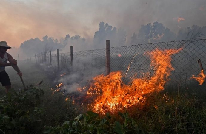 Algeria Wildfires: Death Toll Rises to 12 as More Than 150 Fires Sweep Northeast
