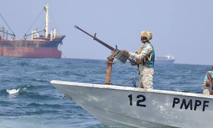 Somalia, Turkey Free Hijacked Cargo Ship After 10-Day Operation