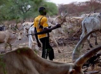 South Sudan Cattle Raid Leaves 49 Dead