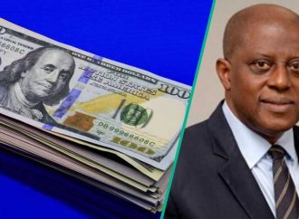 Nigeria’s Foreign Reserves Climb Above $53 Billion as Naira Strengthens