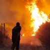 Algeria Seeks Death Penalty for Deliberate Forest Fires