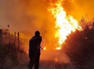 Algeria Seeks Death Penalty for Deliberate Forest Fires