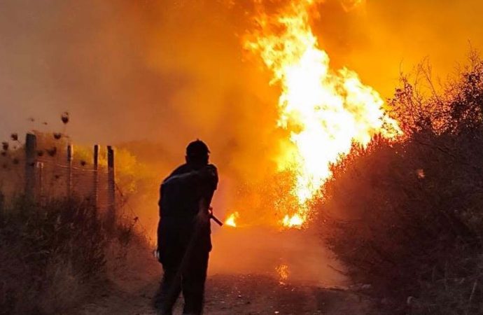 Algeria Seeks Death Penalty for Deliberate Forest Fires