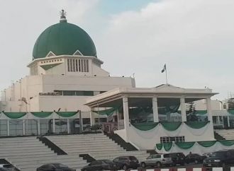Nigeria's Parliament Suspends Official Engagements With South Africa