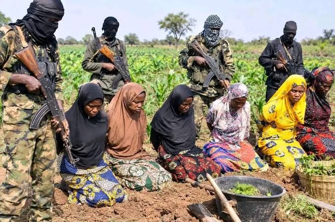 47 Farmers Abducted While Working on Farms in Niger State