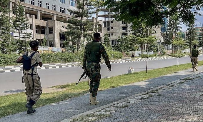 Ethiopia Accuses Neighbours of Backing Tigray Rebels