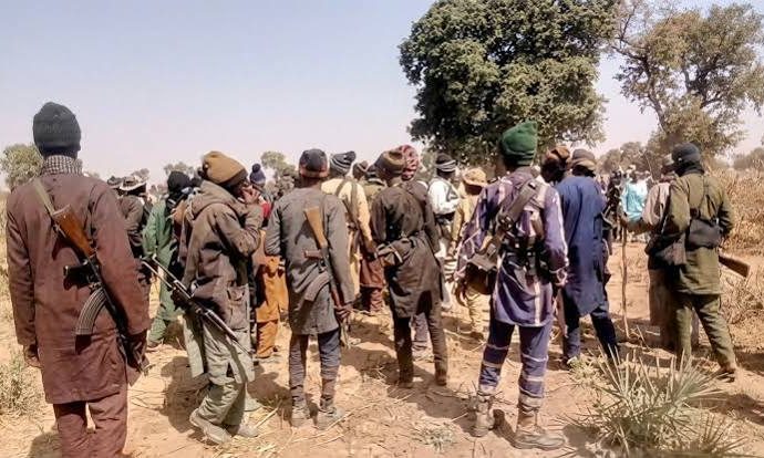 Bandits Kill Farmers in Sokoto as Kano APC Chairman Is Also Killed