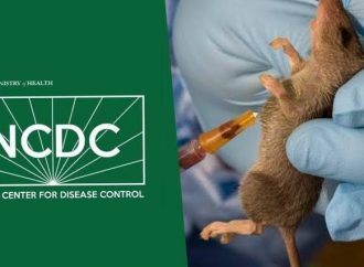 Lassa Fever Death Toll Rises to 252 in Nigeria