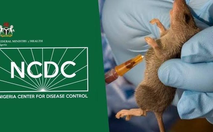 Lassa Fever Death Toll Rises to 252 in Nigeria