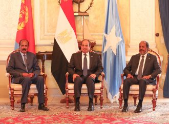 Egypt, Eritrea, Somalia and Sudan Leaders Seek Regional Dialogue-monafrika