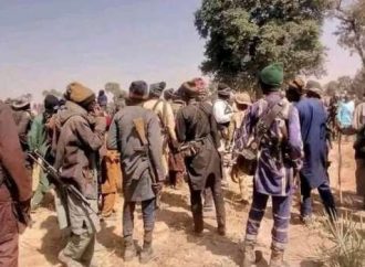 Katsina Traditional Rulers Commend Security Forces After Foiling Mass Abduction-monafrika