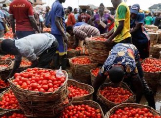 Nigeria’s Inflation Falls to 14.63%, but Food Prices Remain a Concern-monafrika