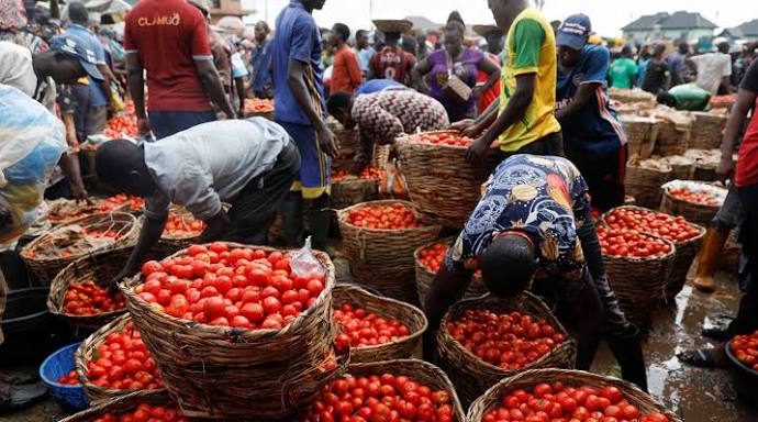 Nigeria’s Inflation Falls to 14.63%, but Food Prices Remain a Concern