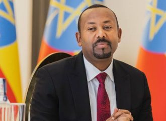 Ethiopia Renews Push for Red Sea Access Amid Regional Tensions-monafrika