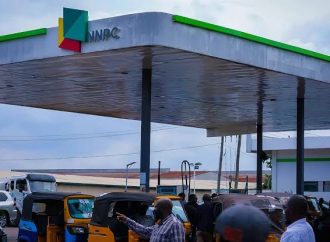 Labour, Opposition Fault FG's 30-Day Fuel Discount, Demand Deeper Price Cuts-monafrika